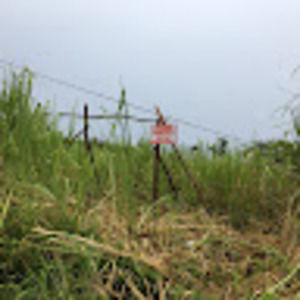 Meet your Posher, Wayne